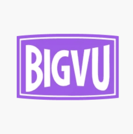 logo BIGVU